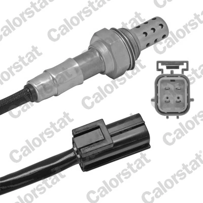 Oxygen Sensor